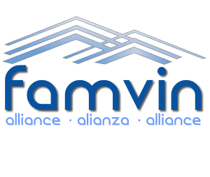 Famvin Homeless Alliance logo