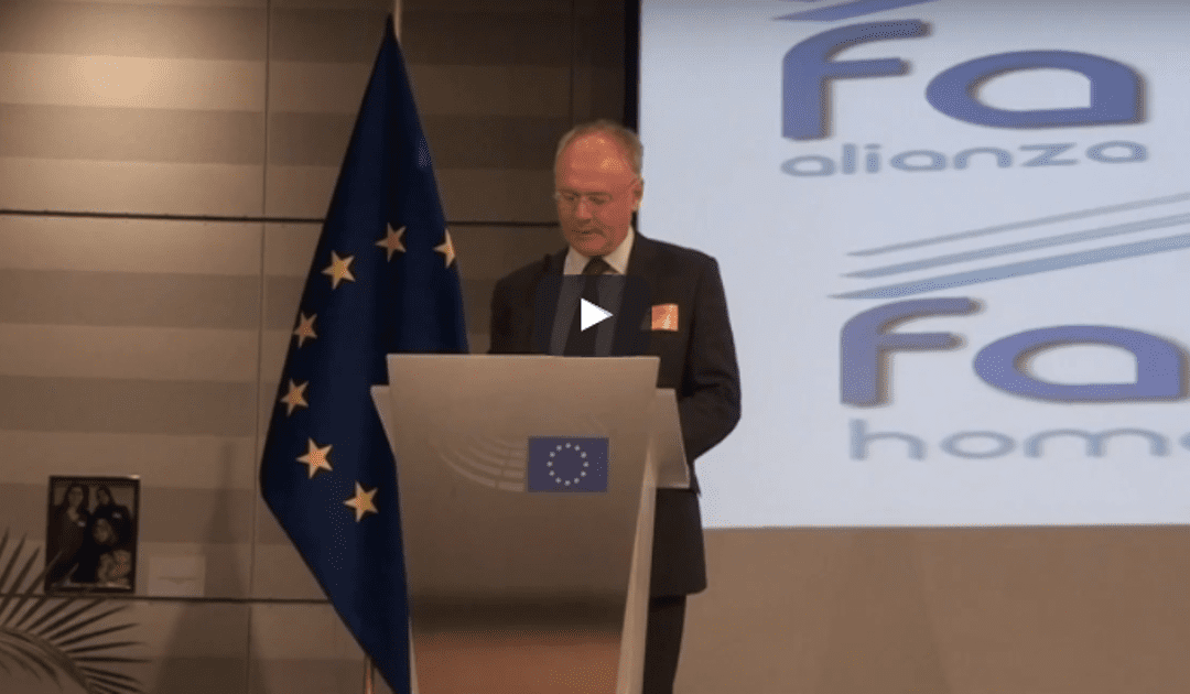 Mark McGreevy on the Famvin Homeless Alliance at the European Parliament [transcrito•transcrit]
